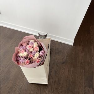 Meet your Posher, Fiona